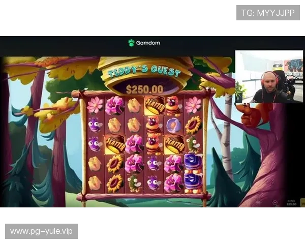提升PG电子网娱乐版游戏体验的实用技巧与常见问题解决方案详解